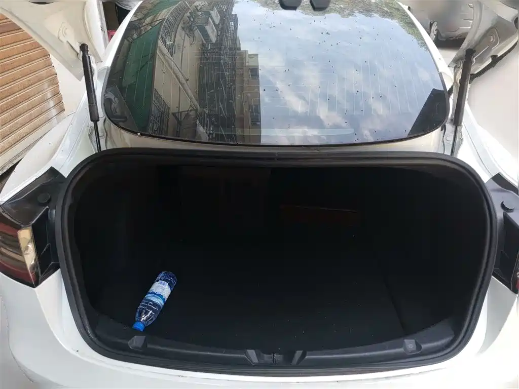 Tesla Model 3 (Import) 2019 2019 Long Range RWD Version