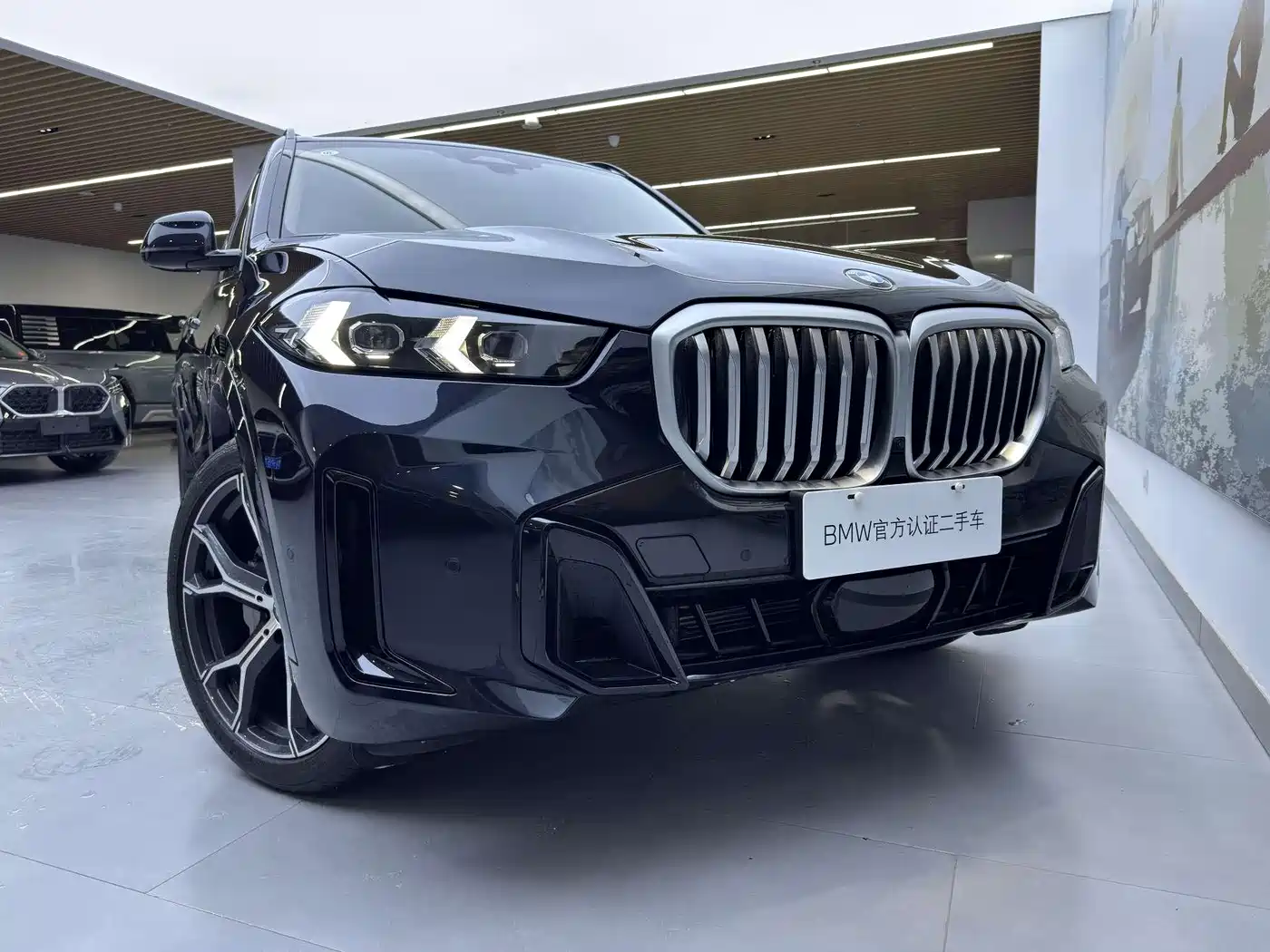 BMW X5 2025 Model xDrive 30Li Exclusive M Sport Blackout Package фото 7