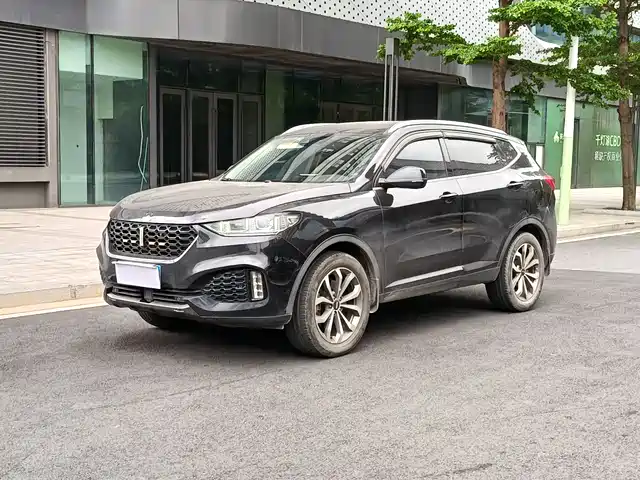 WEI PAI WEI BRAND VV6