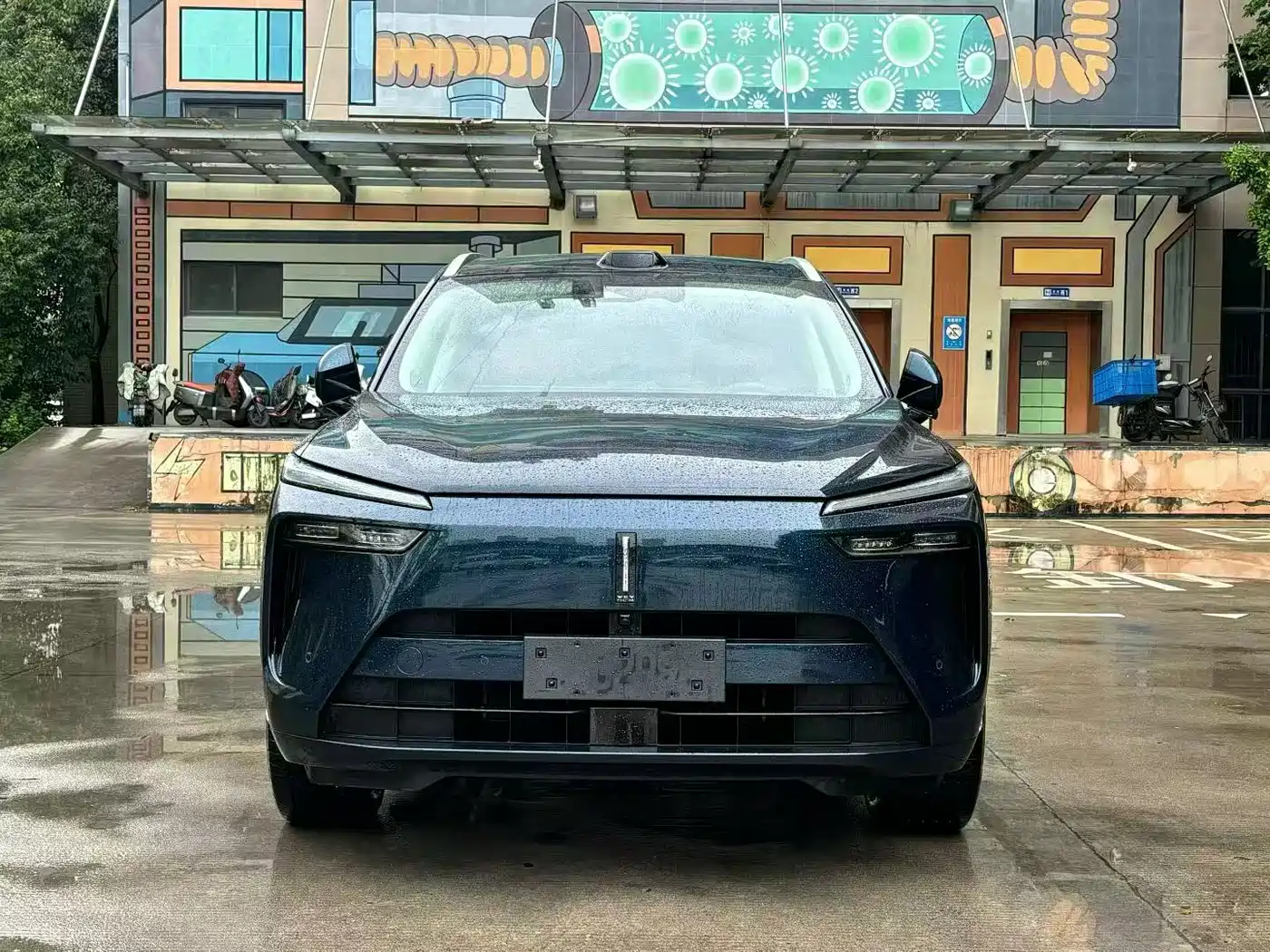 WEI PAI WEI BRAND BLUE MOUNTAIN