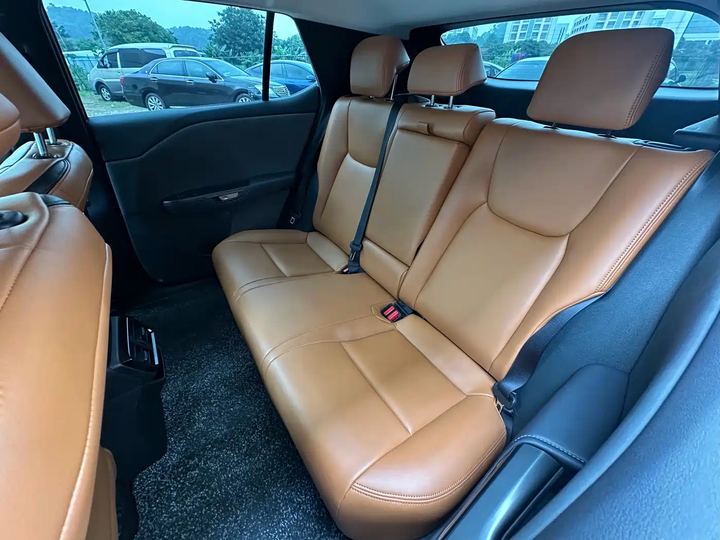Lexus RZ 2023 450e 4WD Expedition Edition фото 10