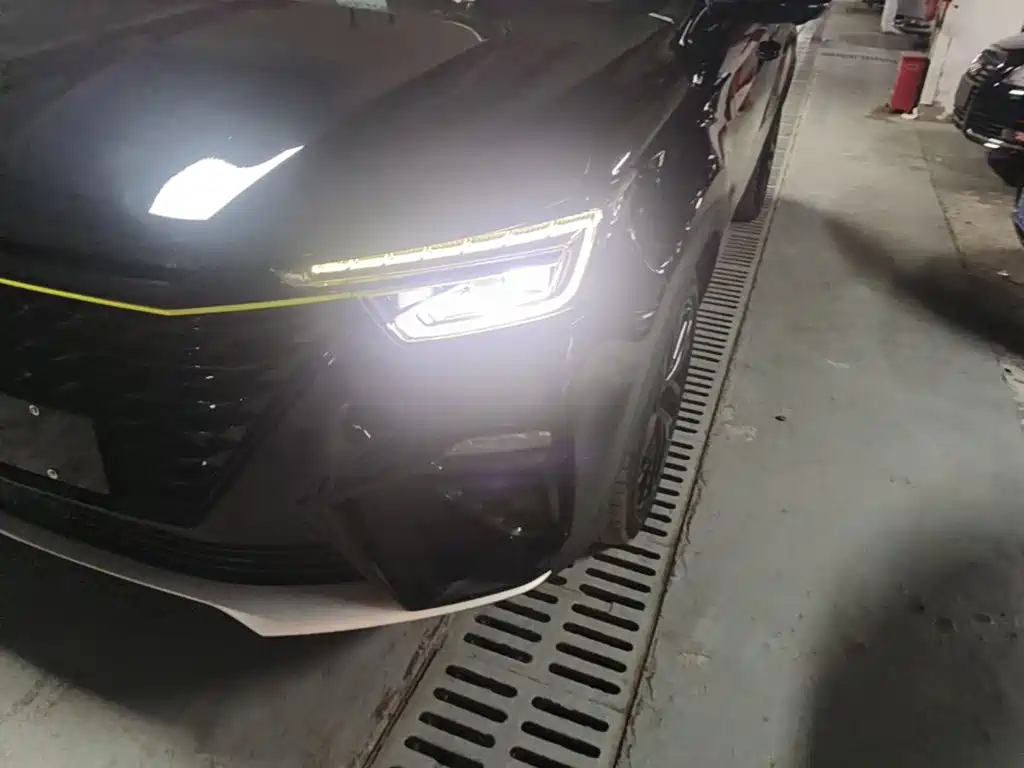 Фото 24 - Roewe RX5 New Energy