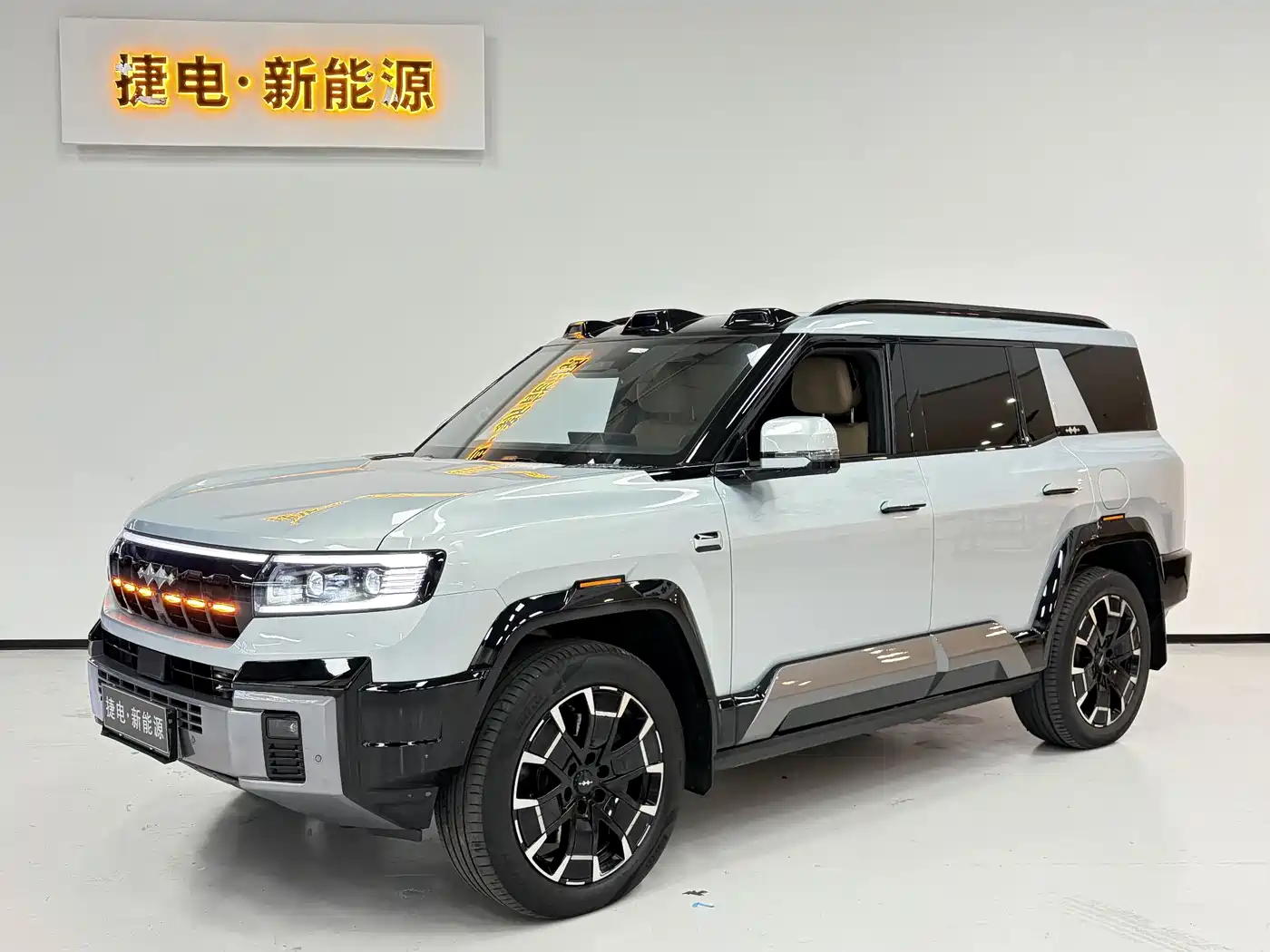 FANG CHENG BAO LEOPARD 8