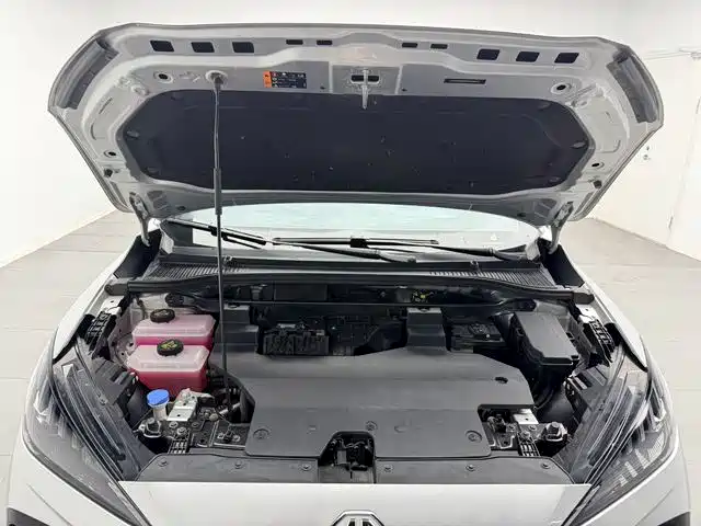 MG MG4 EV 2024 2023 415km Overseas Champion Edition