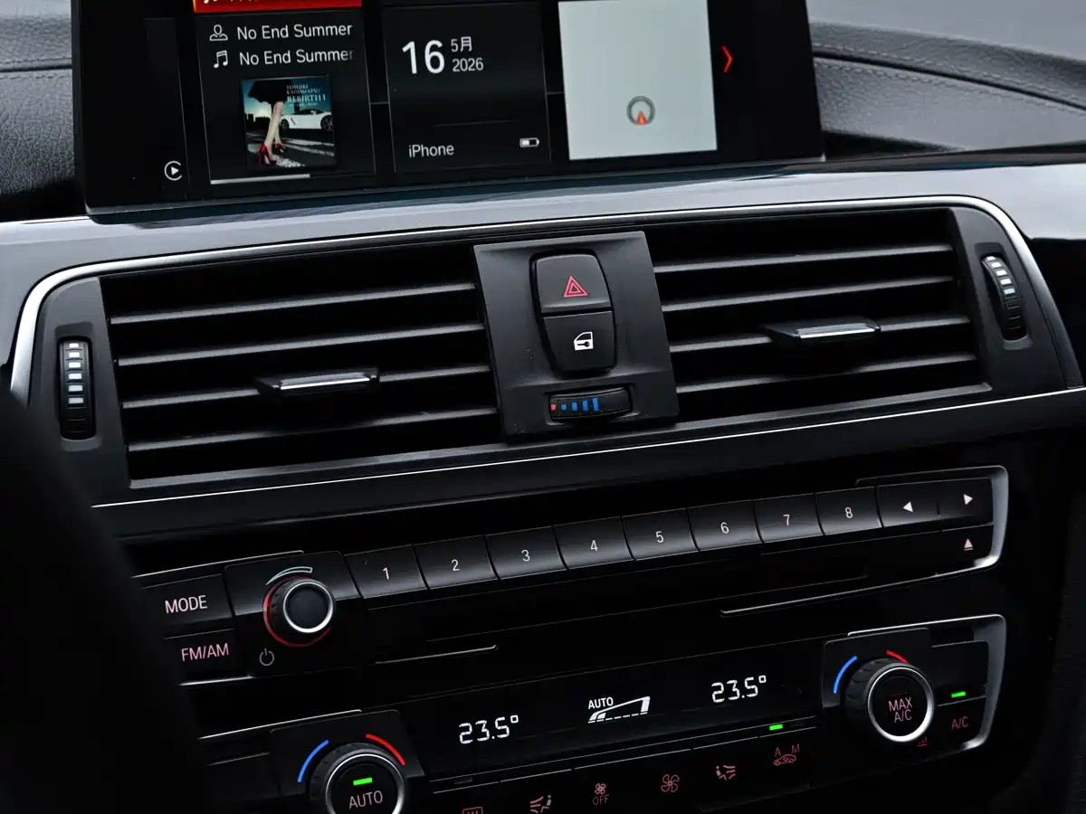 BMW 3 Series 2019 320Li M Sport Package фото 15