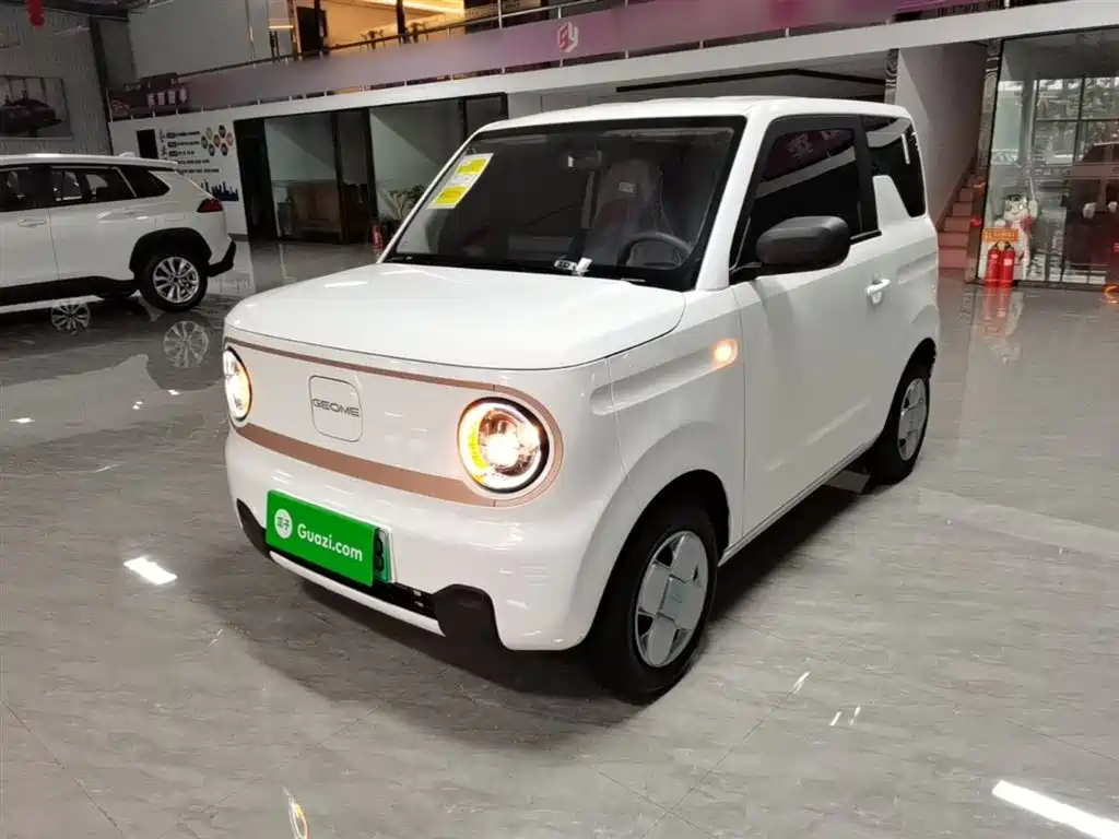 Geely Galaxy Panda 2025 Panda mini 210km Vitality Bear фото 2
