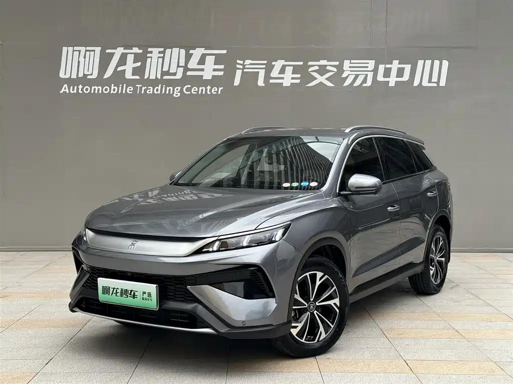 BYD SONGJIANG NEW ENERGY 2024
