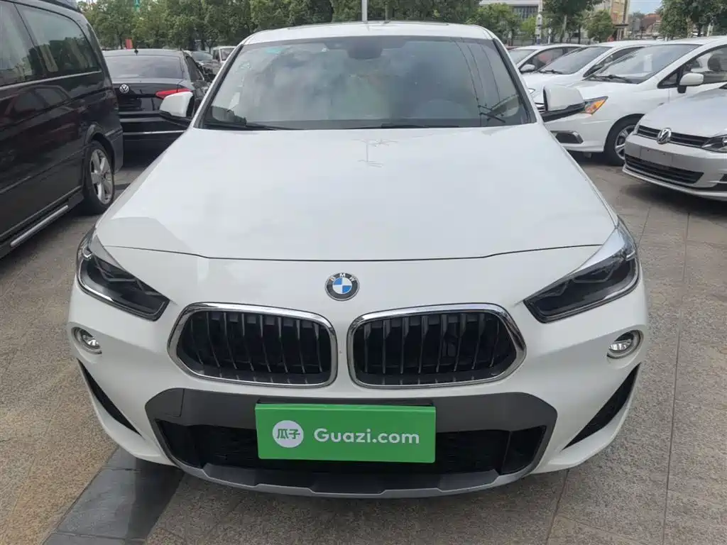 BMW X2 (Import) 2019 sDrive20i M Off-Road Package China VI фото 3