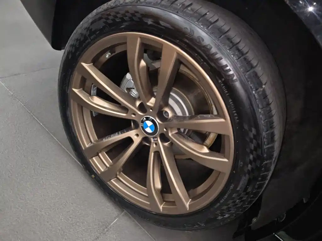 صورة 24 - BMW X6