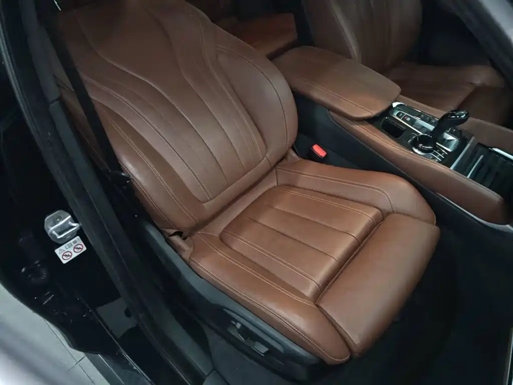 صورة 16 - BMW X6