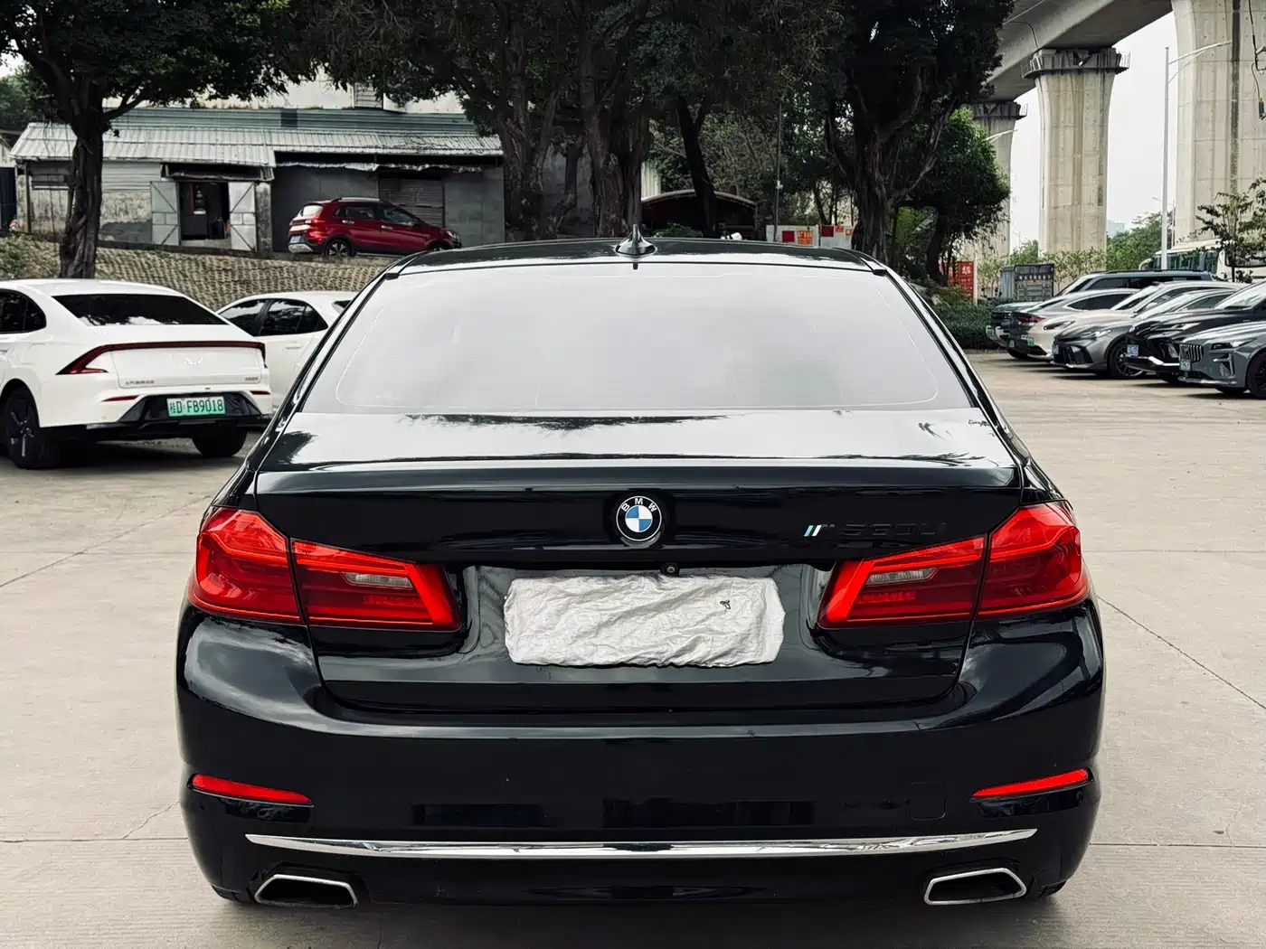 BMW 5 Series 2018 Facelift 530Li Leading Luxury Package фото 5