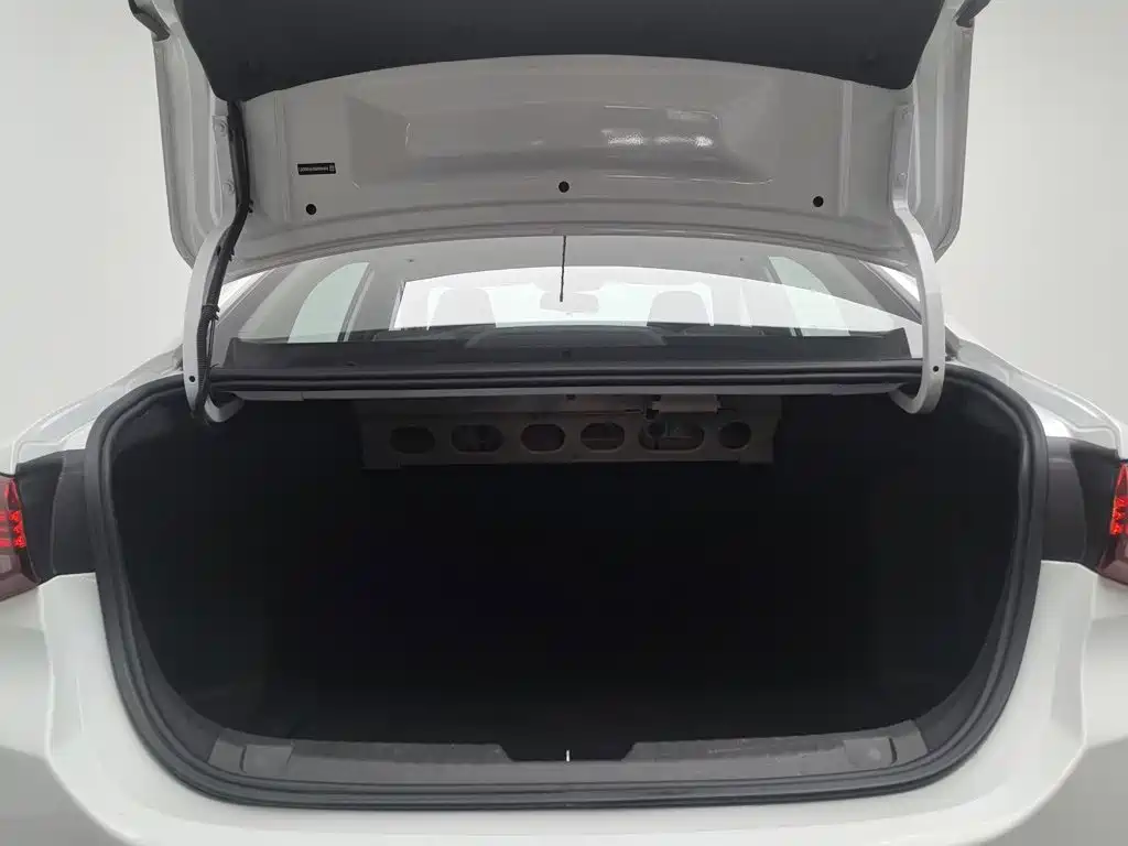 Chevrolet Cavalier 2022 2022 325T Auto Delight Edition