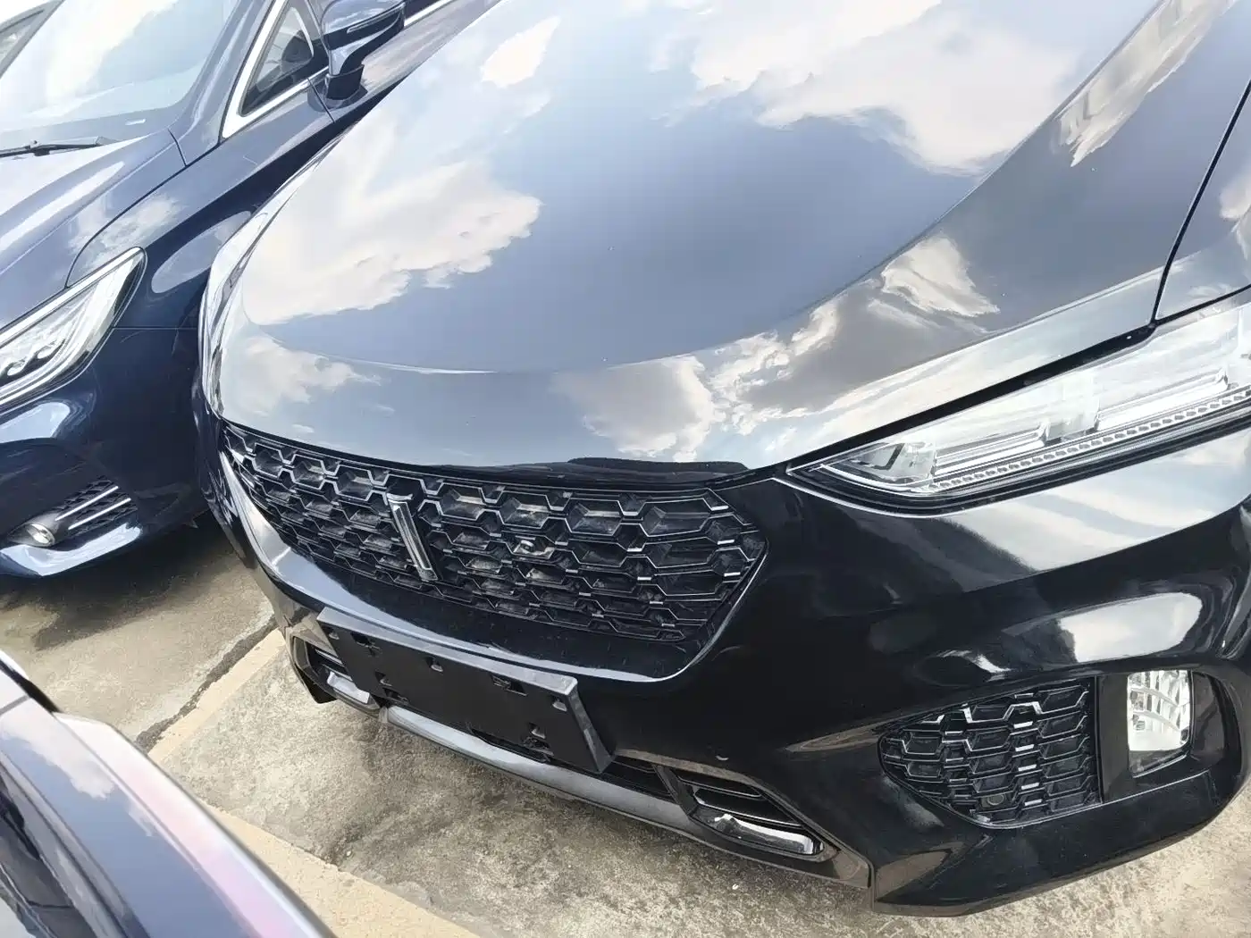 WEI PAI WEI BRAND VV7