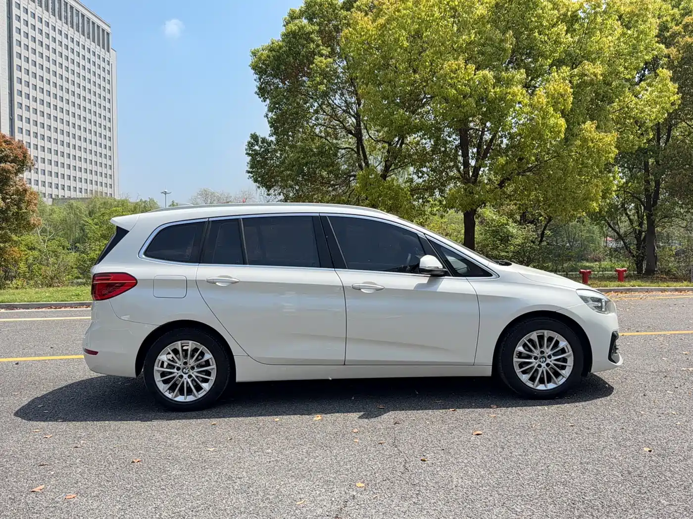 BMW 2 Series Gran Tourer 2018 220i Luxury Line фото 4