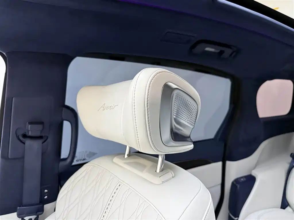 Buick GL8 2021 Avenir Aivia 4-Seater Prestige Edition фото 18