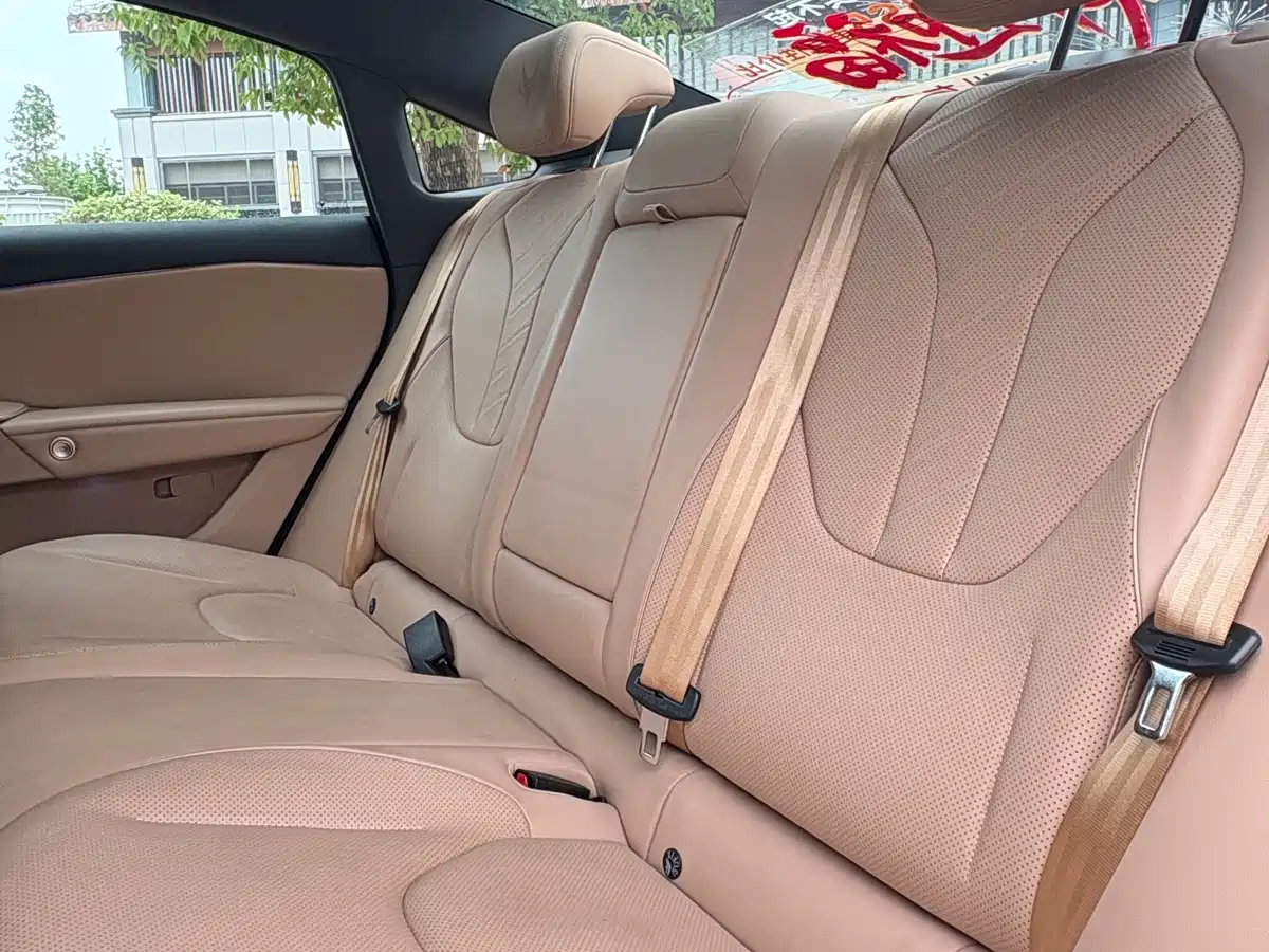 ARCFOX EXTREME FOX POLAR FOX ALPHA S5