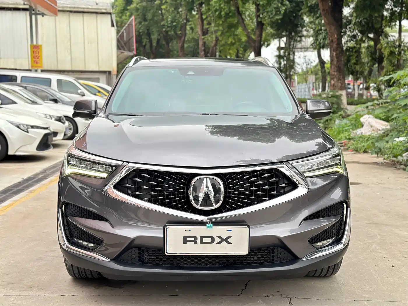 Acura RDX 2019 2019 2.0T Premium Edition China VI