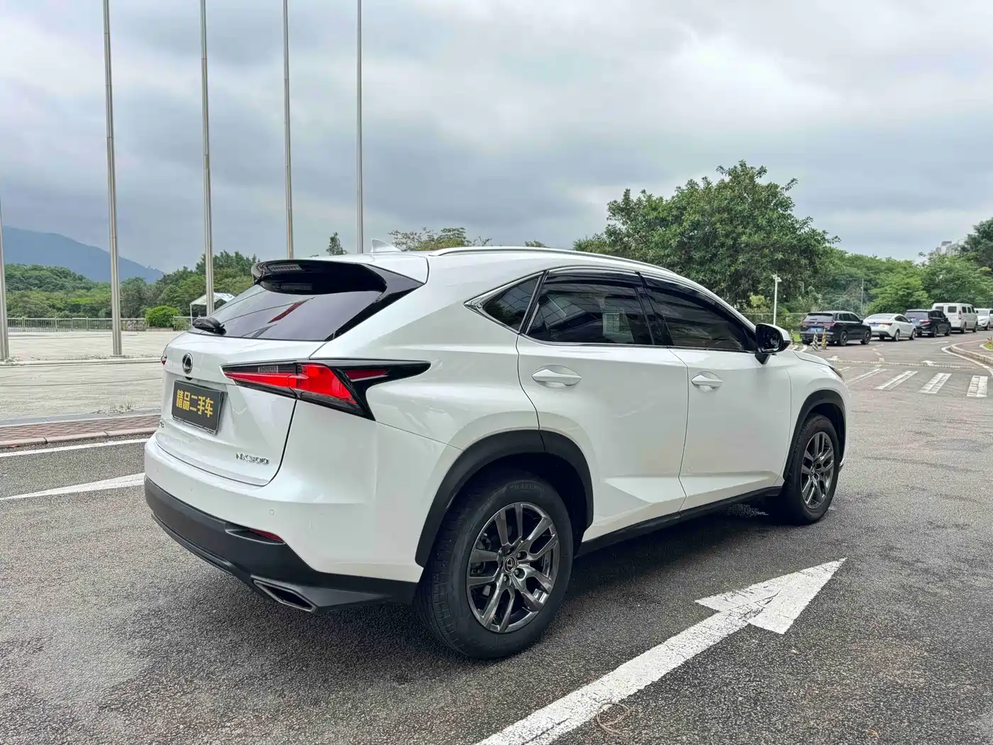 Lexus NX 2017 300 AWD Sharp Style Edition фото 16