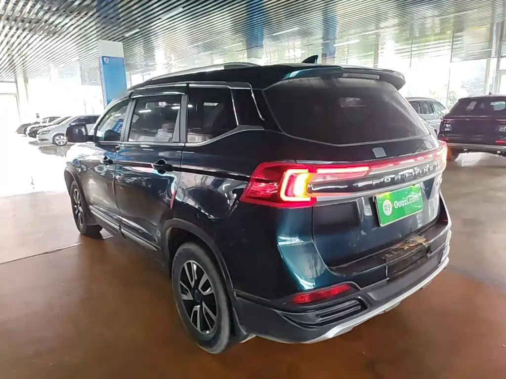 Dongfeng Fengxing Fengxing T5 2023 2023 Golden Age 1.6L Manual Dream Chaser 5-Seater