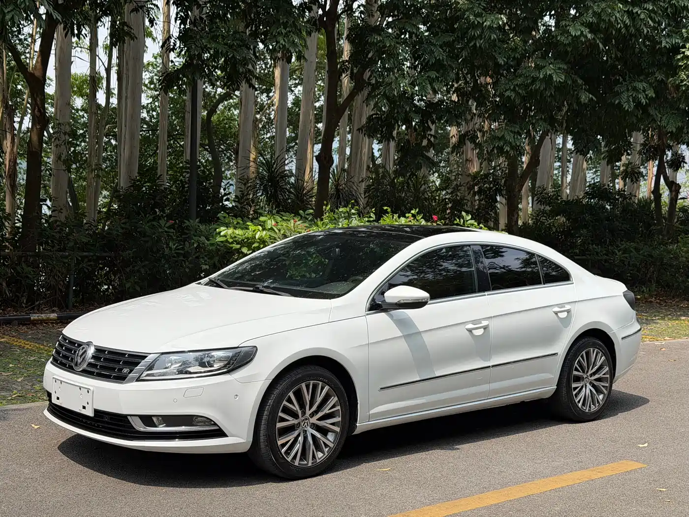 Volkswagen FAW-Volkswagen CC 2013 2.0TSI Ultimate