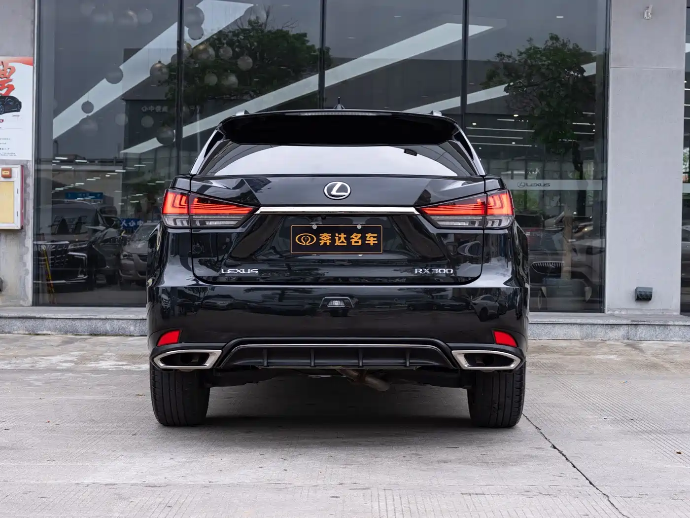 Фото 5 - Lexus RX