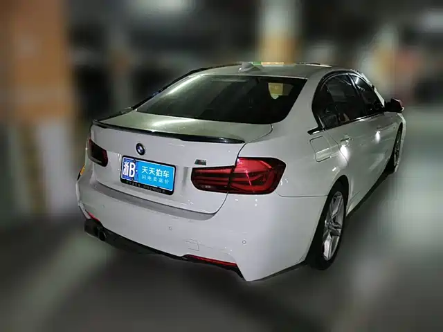 BMW 3 Series 2019 320Li M Sport Package — фото 5