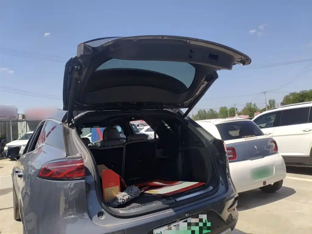 BYD Tang New Energy 2024 EV Champion Edition 730KM Premium фото 15