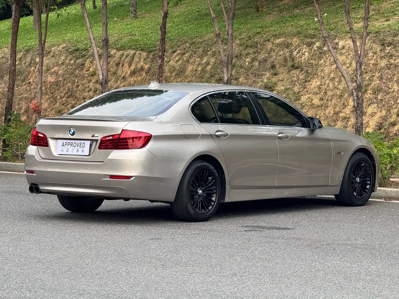 BMW 5 Series 2014 525Li Leading фото 8