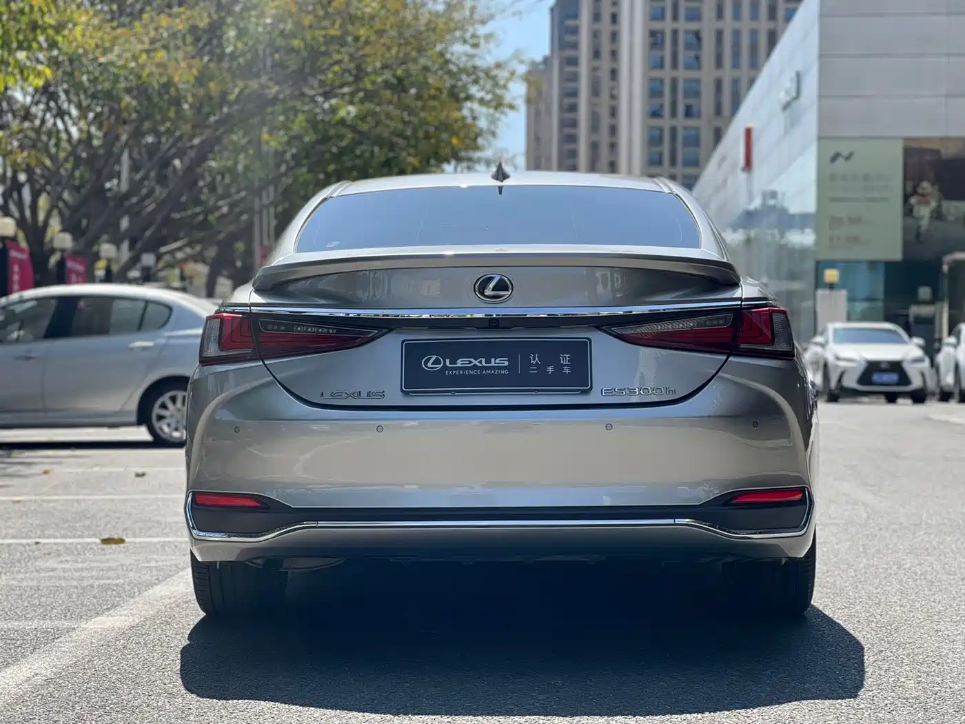 Lexus ES 2022 300h Excellence Edition фото 5