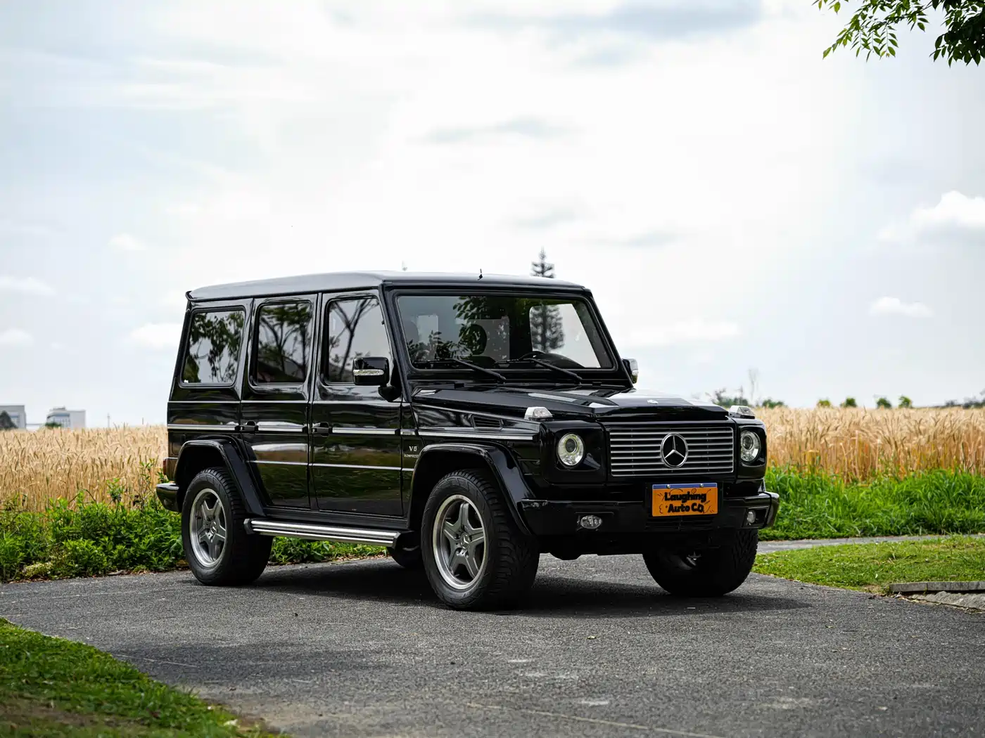 Mercedes-Benz G-Class AMG 2009 AMG G 55 фото 5