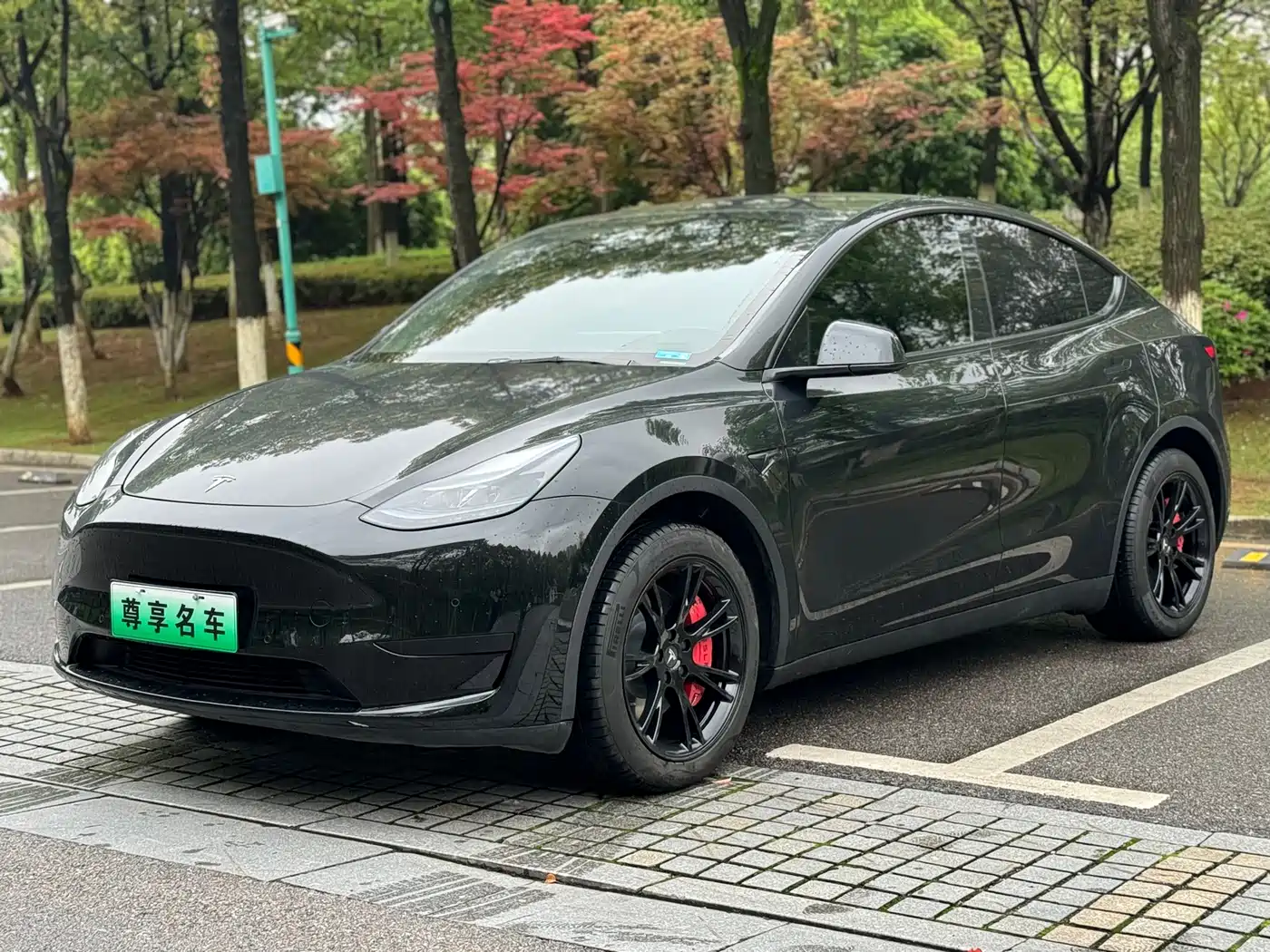TESLA MODEL Y