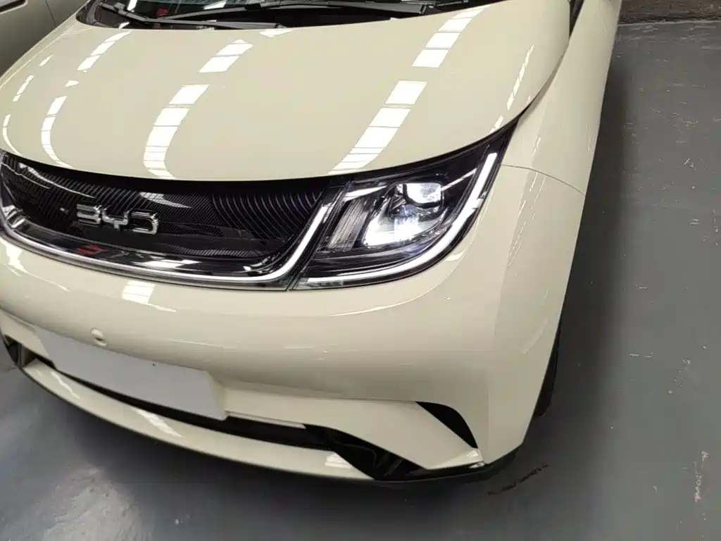 BYD Dolphin 2026 2025 420km Freedom Edition