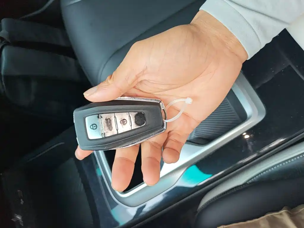 Geely Geometry E Firefly 2024 2024 401km Starlight