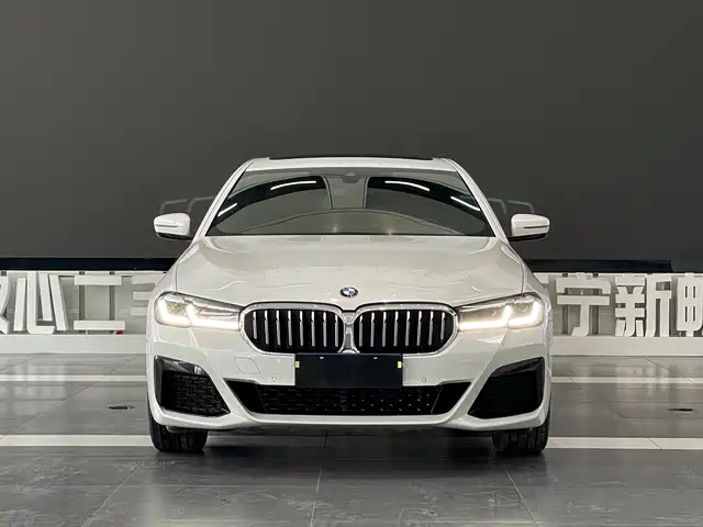 BMW 5 Series 2021 530Li Leading M Sport Package — фото 2