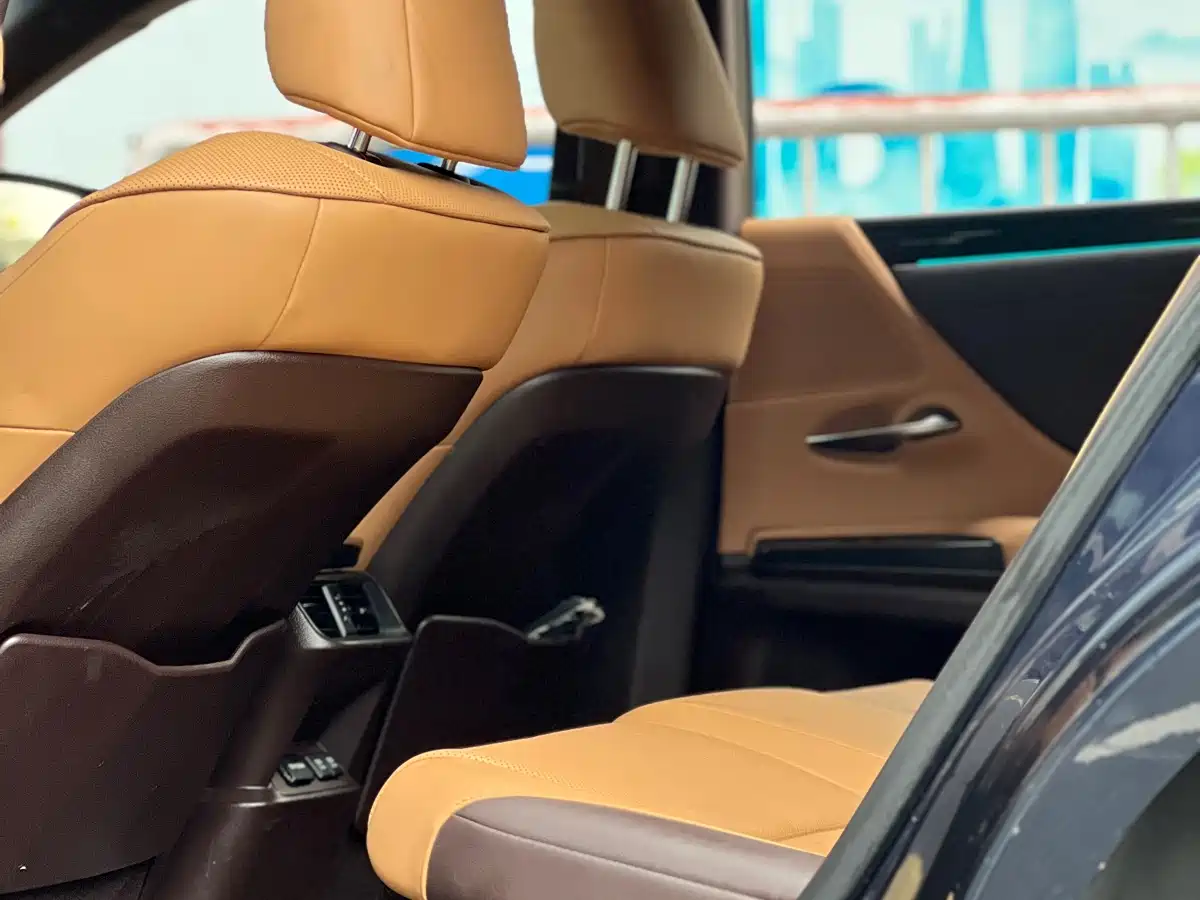 Lexus ES 2018 300h Excellence Edition China V фото 12