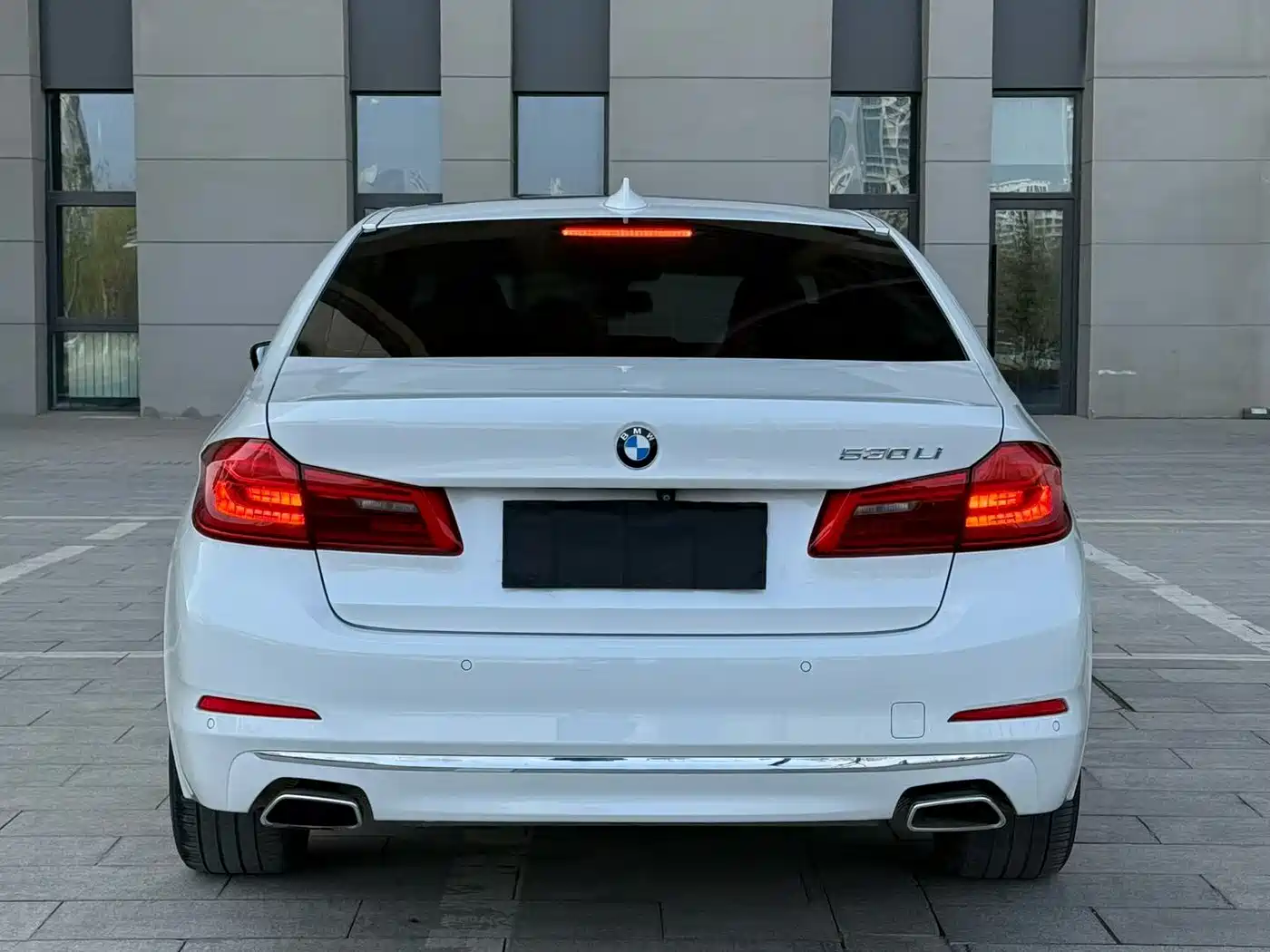 BMW 5 Series 2019 530Li Leading Luxury Package фото 5