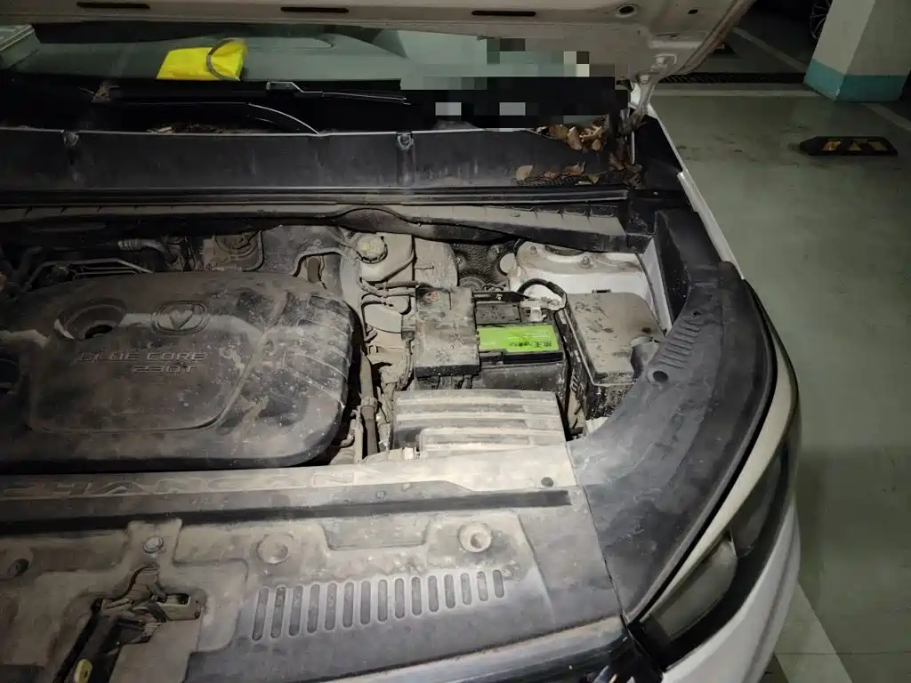 Changan CS55 2019 2018 1.5T Automatic Chromatic China V
