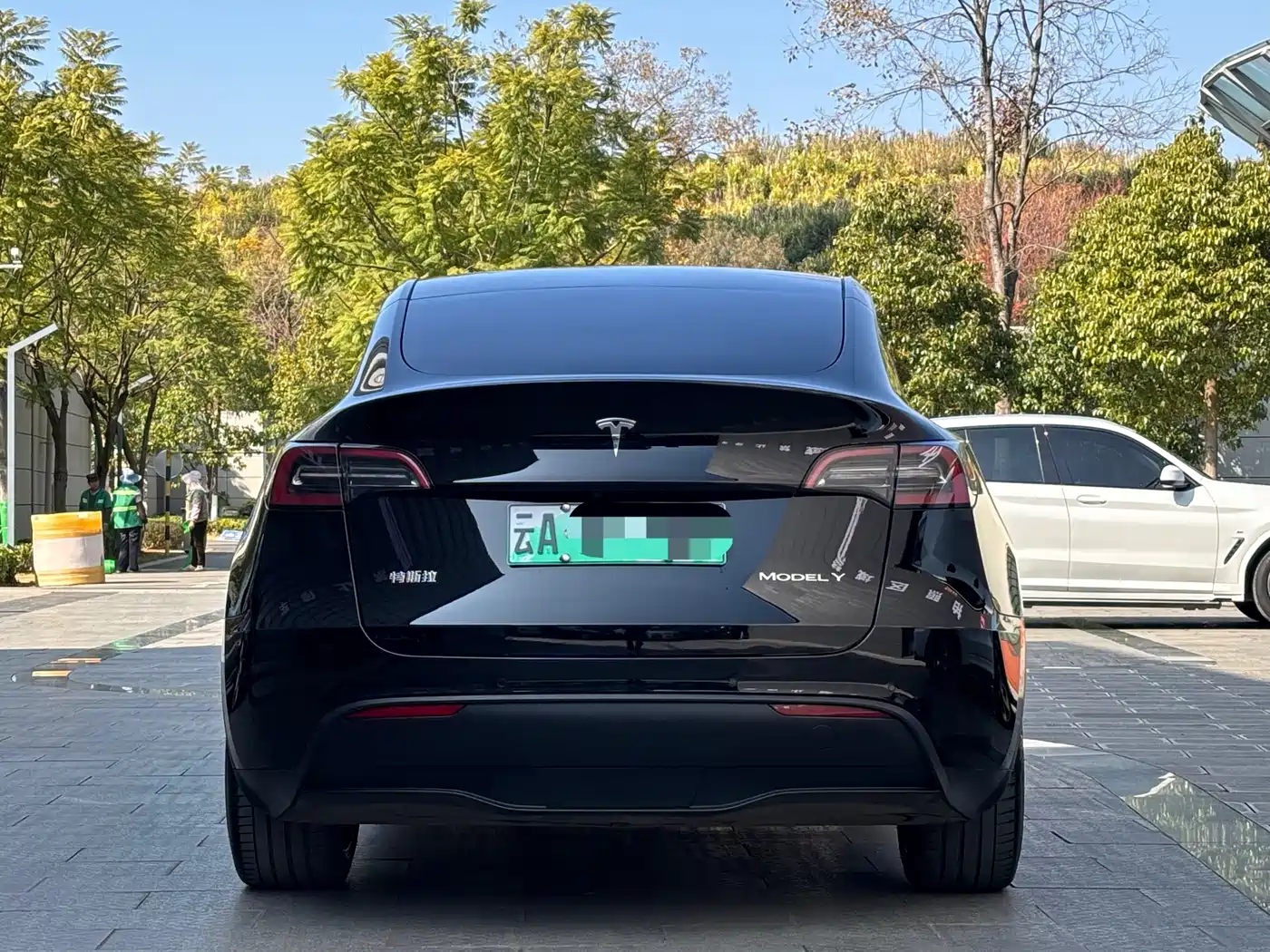 TESLA MODEL Y