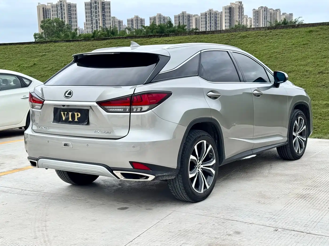 Lexus RX 2020 300 4WD Elegance Edition China VI фото 9