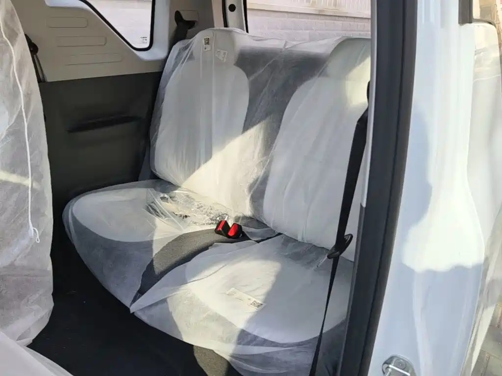 Geely Galaxy Panda 2026 2025 Panda mini 210km Vitality Bear
