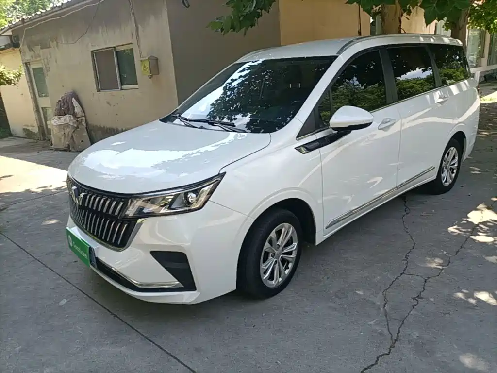 2024 Wuling Motors Wuling Jiachen