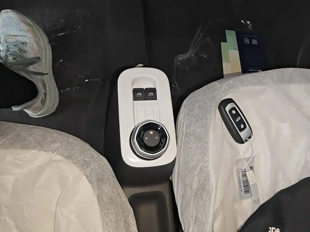 Geely Galaxy Panda 2026 2025 Panda mini 210km Vitality Bear