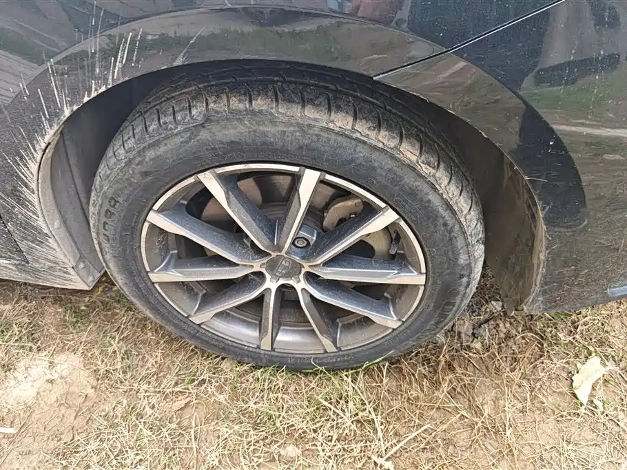 GEELY AUTOMOBILE BORUI