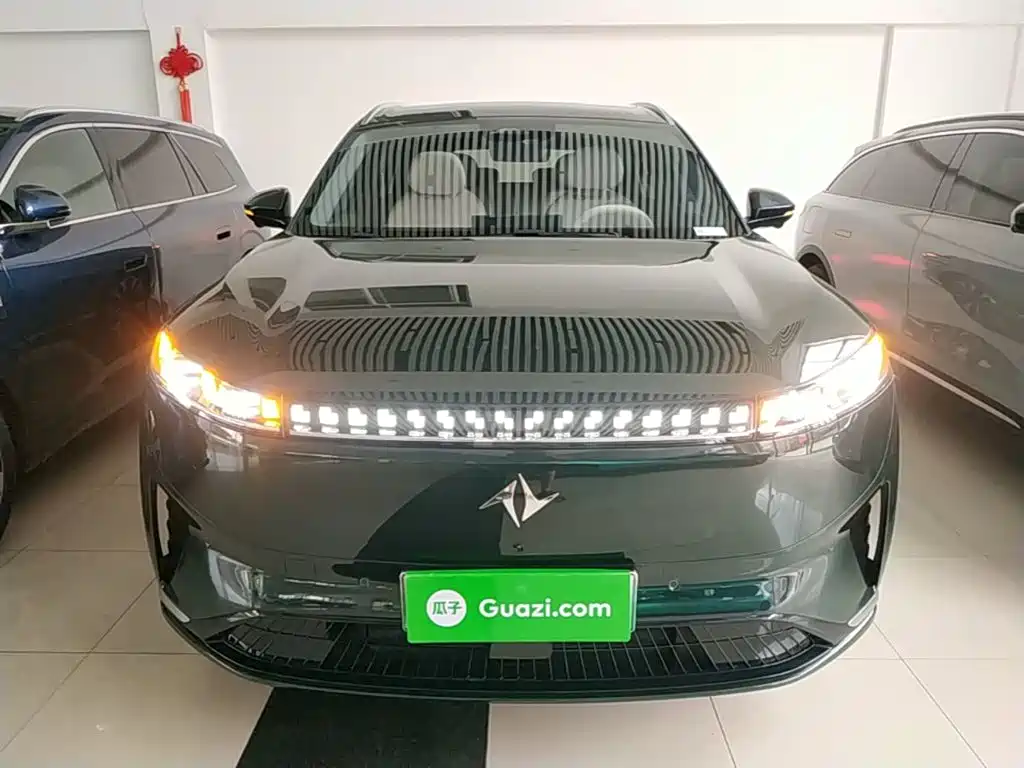 2025 Dongfeng Yipai eπ008
