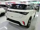 Фото 7 - BYD Dolphin