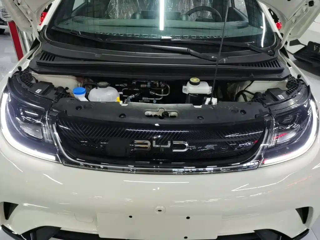 Фото 20 - BYD Dolphin