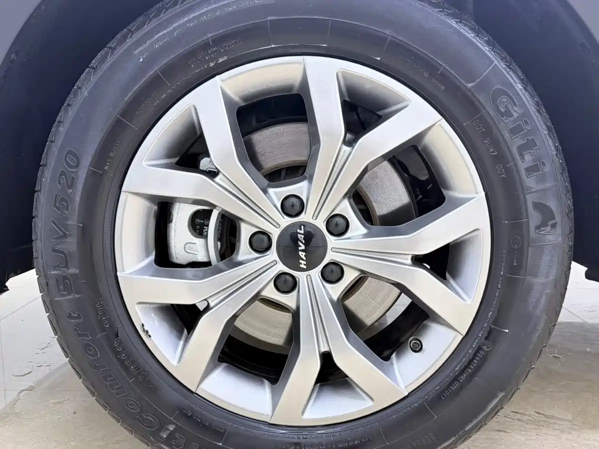 Haval H6 2021 Model National Trend Edition 1.5T Auto Champion фото 25