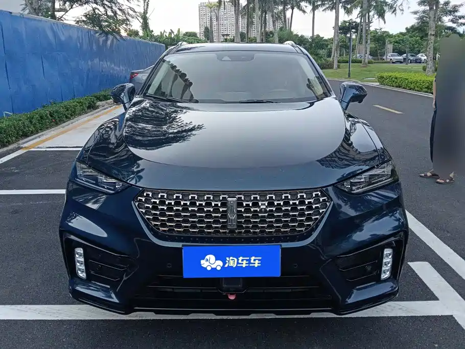 WEY VV7 2019 2020 2.0T Super Luxury