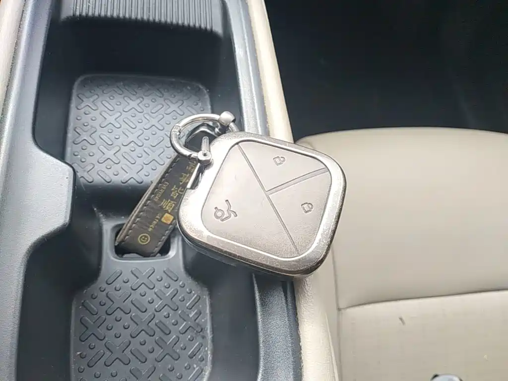 Wuling Motors Wuling Binguo PLUS 2024 2024 Model 510km Flagship Edition 4-Seater
