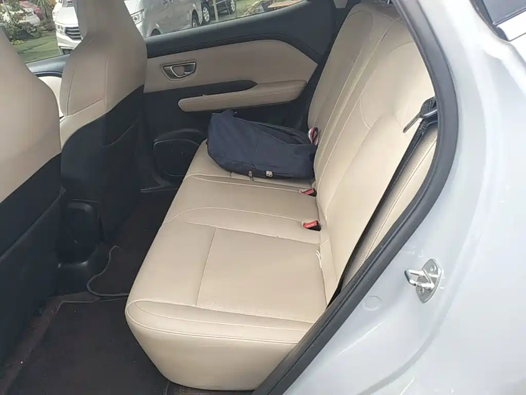 Wuling Motors Wuling Binguo PLUS 2024 2024 Model 510km Flagship Edition 4-Seater